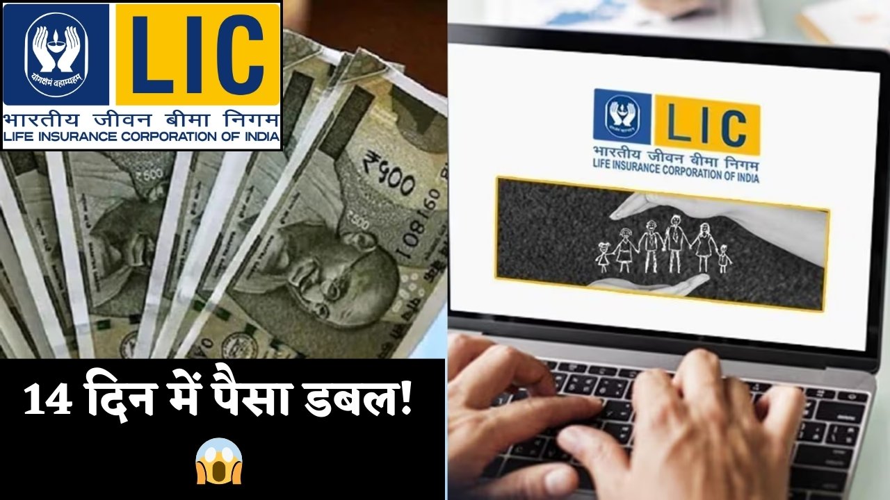 LIC Small Stock News